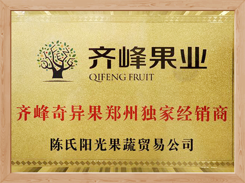 Qifeng kiwifruit sole distributor in Zhengzhou